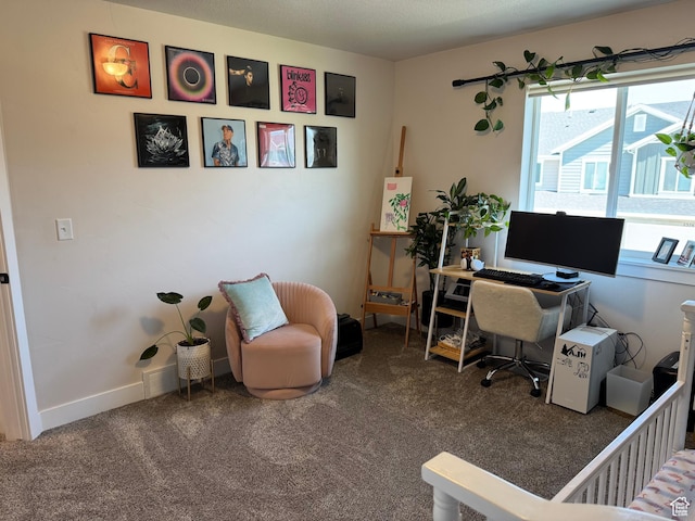 2373 W Howard St, West Haven, UT 84401 - photo 44