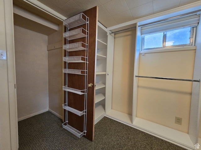 638 E 1050 N, Bountiful, UT 84010 - spacious closet with dark colored carpet