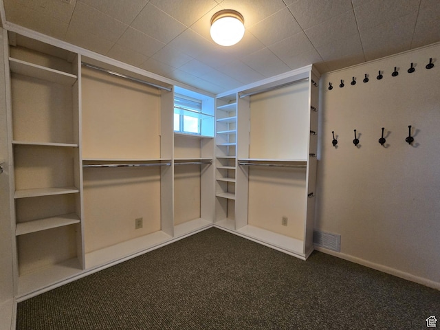 638 E 1050 N, Bountiful, UT 84010 - spacious closet with dark carpet