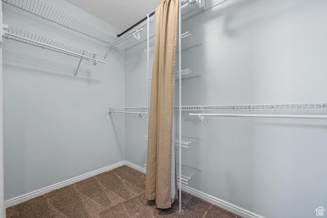 10574 N Sage Vista Ln, Cedar Hills, UT 84062 - spacious closet with carpet floors