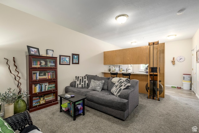 502 S 1040 E Unit 146, American Fork, UT 84003 - living area with carpet
