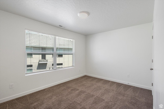 312 N 440 W, Pleasant Grove, UT 84062 - carpeted spare room featuring plenty of natural light and a textured ceiling