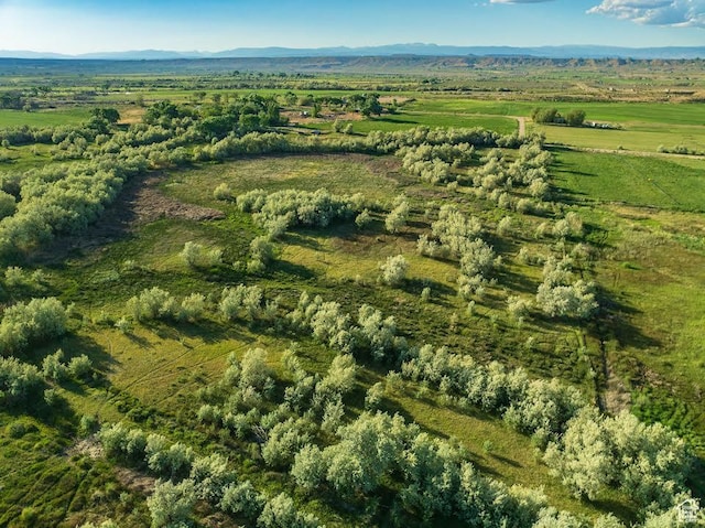 Arcadia, UT 84021