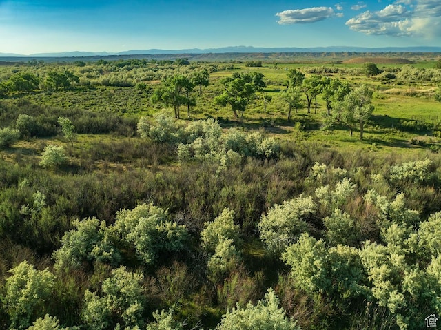Arcadia, UT 84021