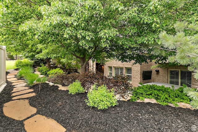 1095 N 700 W, American Fork, UT 84003 - view of yard
