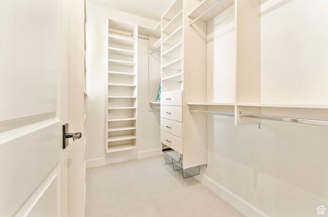 1095 N 700 W, American Fork, UT 84003 - walk in closet featuring light carpet