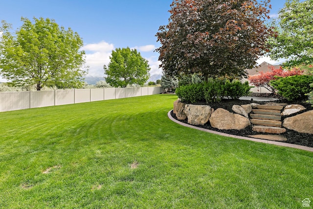 1095 N 700 W, American Fork, UT 84003 - view of yard