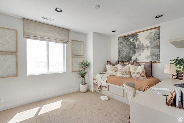 779 W 540 S Unit 341, American Fork, UT 84003 - photo 13