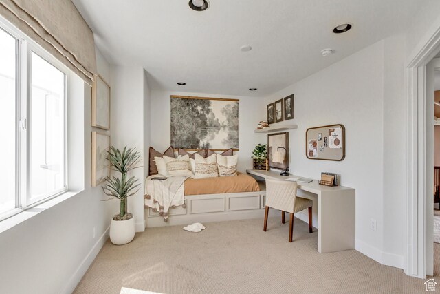 779 W 540 S Unit 341, American Fork, UT 84003 - photo 14