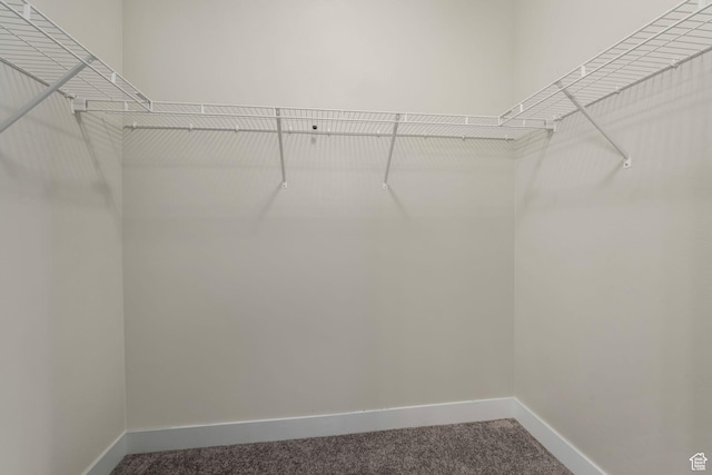 13073 S Newbridge Ln Unit E301, Herriman, UT 84096 - spacious closet with carpet flooring