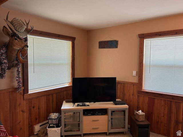 468 E Trail Rd, Brian Head, UT 84719 - living area with wooden walls, a wainscoted wall, and a baseboard radiator