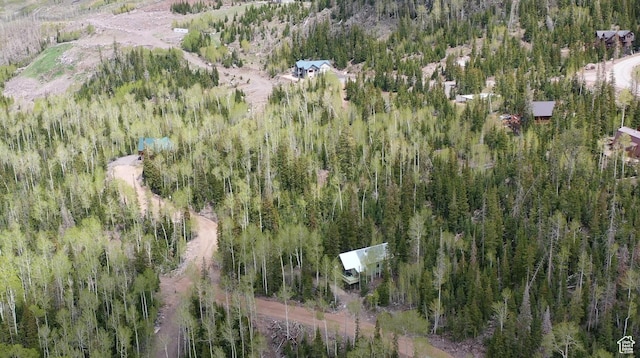 468 E Trail Rd, Brian Head, UT 84719 - aerial view of property's location