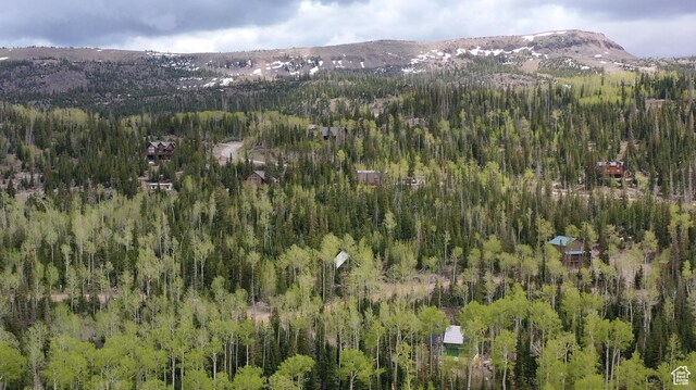 468 E Trail Rd, Brian Head, UT 84719 - view of property location featuring a heavily wooded area and a mountainous background