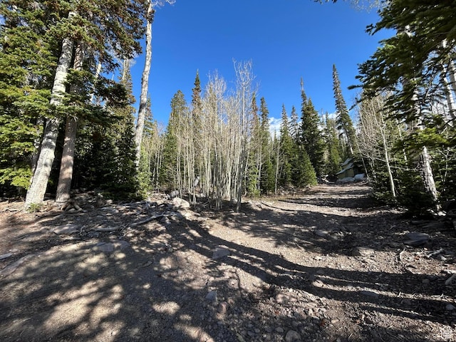 468 E Trail Rd, Brian Head, UT 84719 - view of street featuring a wooded view