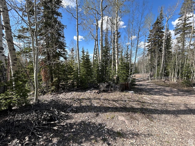 468 E Trail Rd, Brian Head, UT 84719 - view of tree filled area