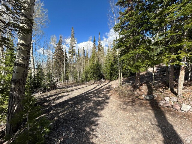 468 E Trail Rd, Brian Head, UT 84719 - view of road