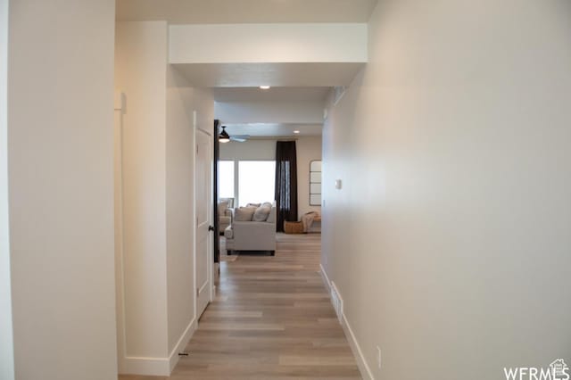 3999 W 2050 S, Taylor, UT 84401 - hallway with light wood-style floors and baseboards