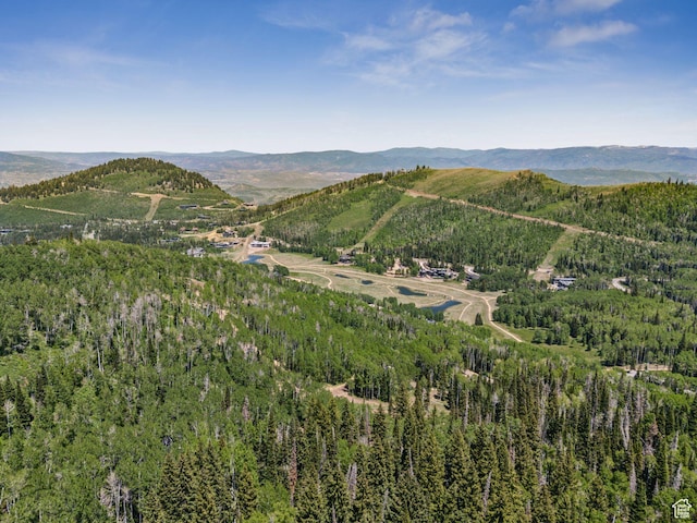 308 White Pine Canyon Rd Unit 308, Park City, UT 84060 - photo 19