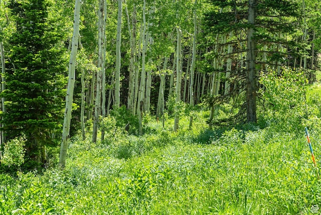 308 White Pine Canyon Rd Unit 308, Park City, UT 84060 - photo 5