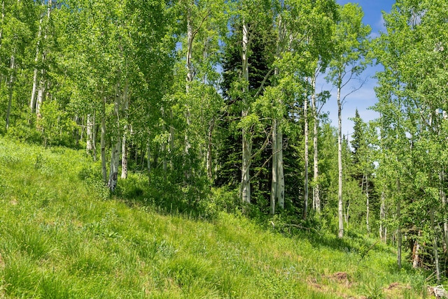 308 White Pine Canyon Rd Unit 308, Park City, UT 84060 - photo 7
