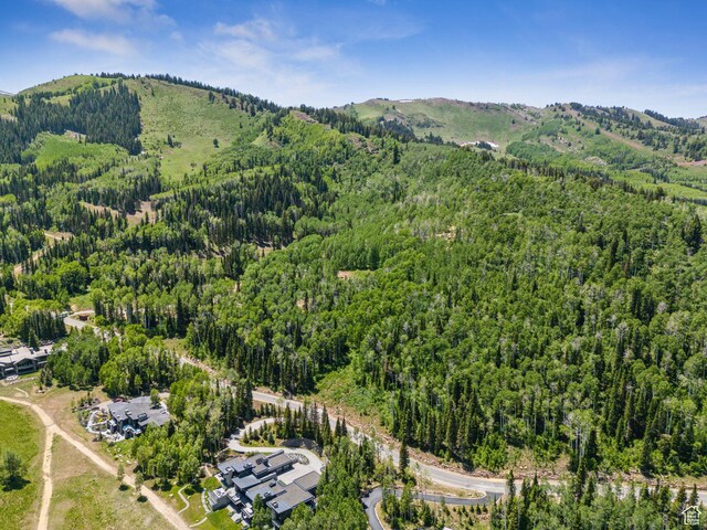 308 White Pine Canyon Rd Unit 308, Park City, UT 84060 - photo 2