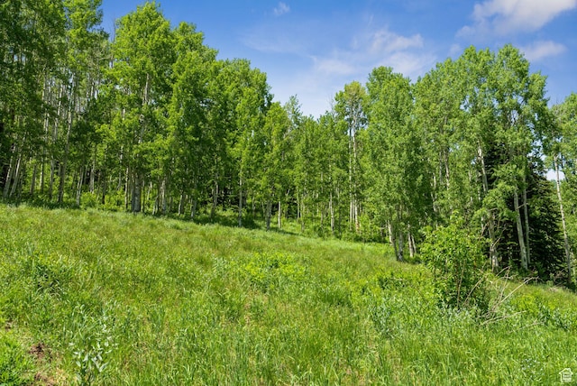 308 White Pine Canyon Rd Unit 308, Park City, UT 84060 - photo 6