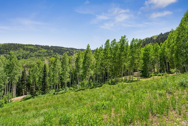 308 White Pine Canyon Rd Unit 308, Park City, UT 84060 - photo 10