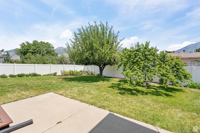 1136 N 850 W, Orem, UT 84057 - photo 43