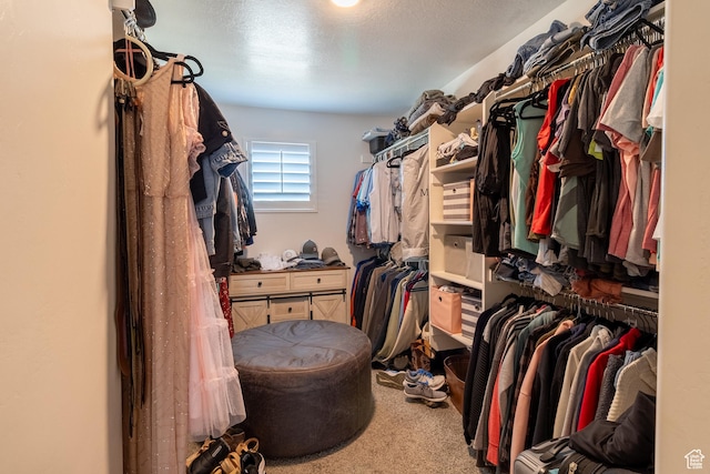 3542 W 4200 S, West Haven, UT 84401 - photo 25