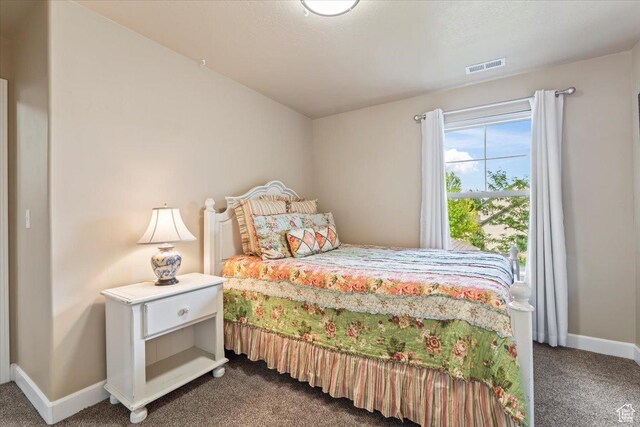 10787 N Town Center Pkwy, Highland, UT 84003 - bedroom with dark colored carpet and baseboards