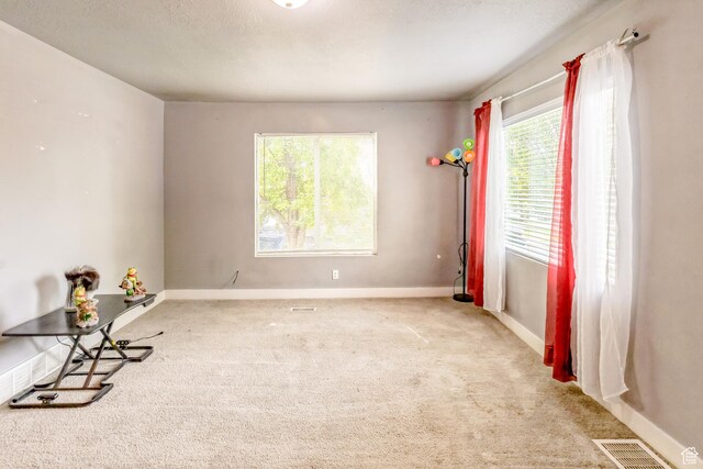 3035 W 3835 S, West Valley City, UT 84119 - photo 5