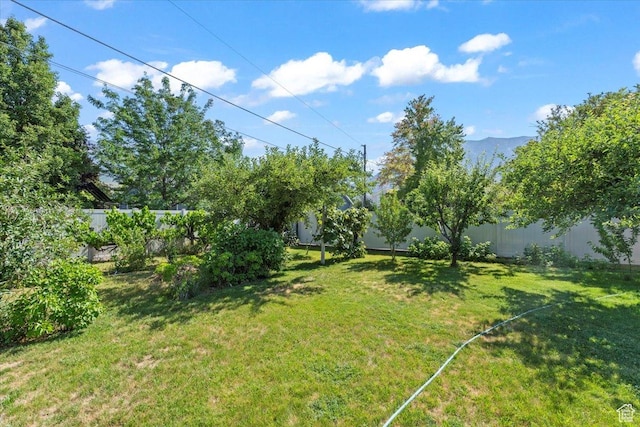 875 E 400 N, Orem, UT 84097 - photo 27
