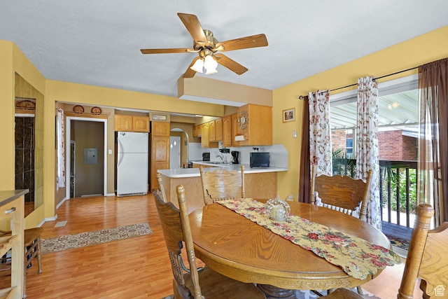 522 E Diana St, South Ogden, UT 84403 - dining room with light wood-style floors, ceiling fan, and a textured ceiling