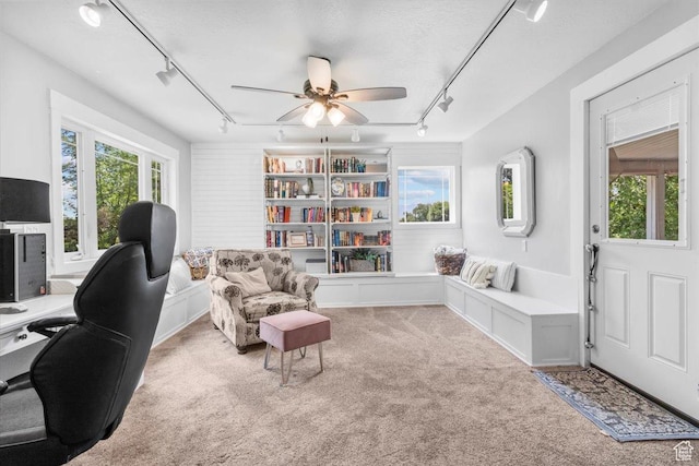 360 S 300 E, Ephraim, UT 84627 - office with track lighting, light colored carpet, and ceiling fan