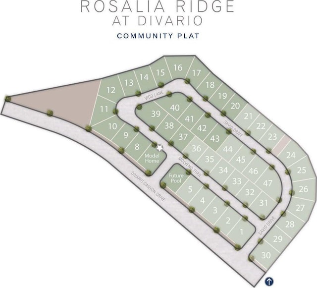 43 Rosalia Rdg, St George, UT 84770 - map / location