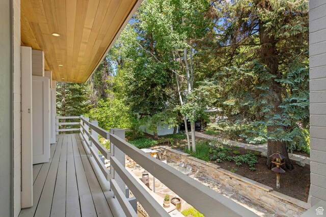 1031 N Killyons Ln, Emigration Canyon, UT 84108 - photo 64