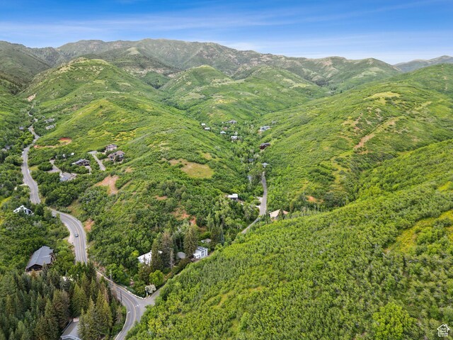 1031 N Killyons Ln, Emigration Canyon, UT 84108 - photo 74