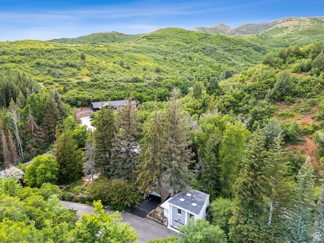 1031 N Killyons Ln, Emigration Canyon, UT 84108 - photo 68
