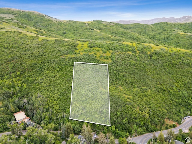 1031 N Killyons Ln, Emigration Canyon, UT 84108 - photo 70