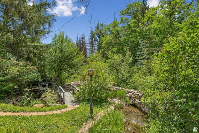 1031 N Killyons Ln, Emigration Canyon, UT 84108 - photo 118