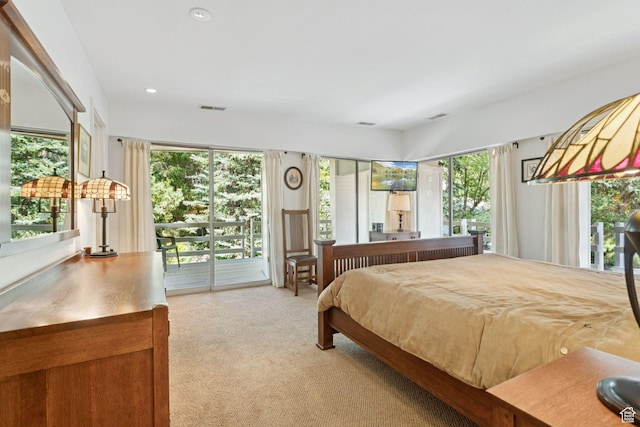 1031 N Killyons Ln, Emigration Canyon, UT 84108 - photo 56