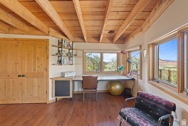 338 Taylor Ln, Castle Valley, UT 84532 - office space with built in desk, a wooden ceiling with exposed beams, and wood finished floors