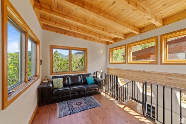 338 Taylor Ln, Castle Valley, UT 84532 - living area featuring a wood ceiling with exposed beams and wood finished floors