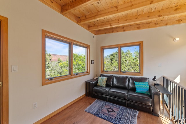 338 Taylor Ln, Castle Valley, UT 84532 - living area featuring a wood ceiling with exposed beams and wood finished floors