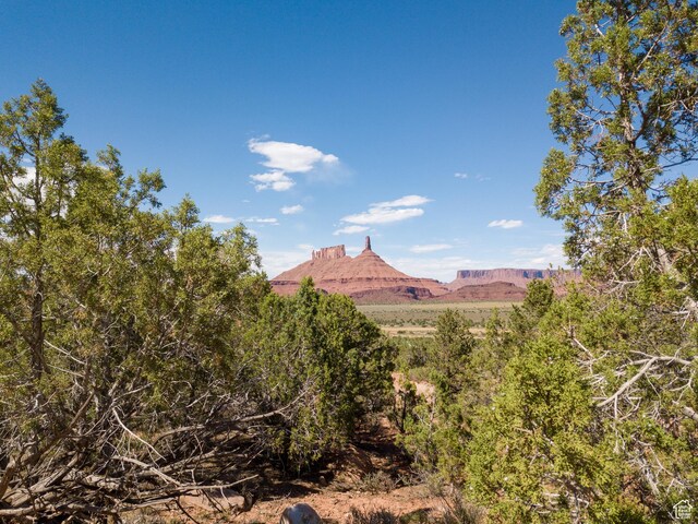 338 Taylor Ln, Castle Valley, UT 84532 - mountain view