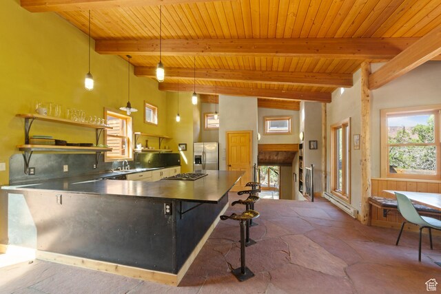338 Taylor Ln, Castle Valley, UT 84532 - kitchen featuring appliances with stainless steel finishes, stainless steel counters, a wood ceiling with exposed beams, a baseboard radiator, and stone floors