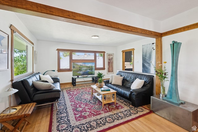 1527 E Emerson Ave S, Salt Lake City, UT 84105 - living room with wood finished floors
