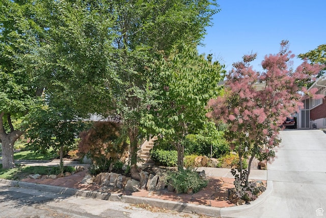 1527 E Emerson Ave S, Salt Lake City, UT 84105 - view of property hidden behind natural elements with concrete driveway and stairs
