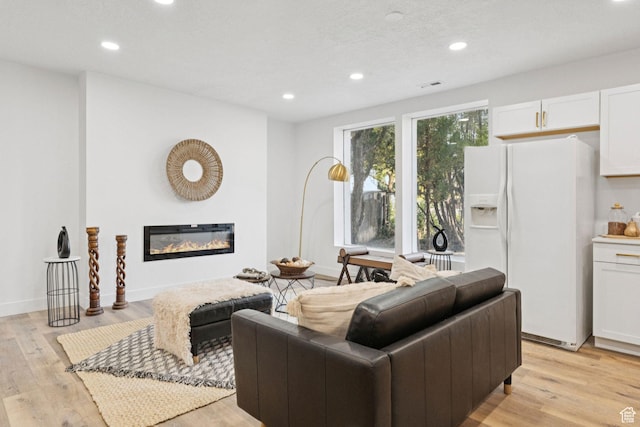 147 E 1700 S, Orem, UT 84058 - living room featuring recessed lighting, a glass covered fireplace, and light wood-style flooring