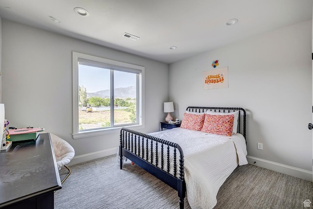 46 N Carter Dr, Lehi, UT 84043 - photo 28